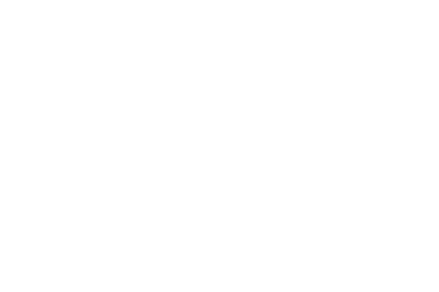 Bosques de Piedra Mesa, proyecto en Lago Ranco