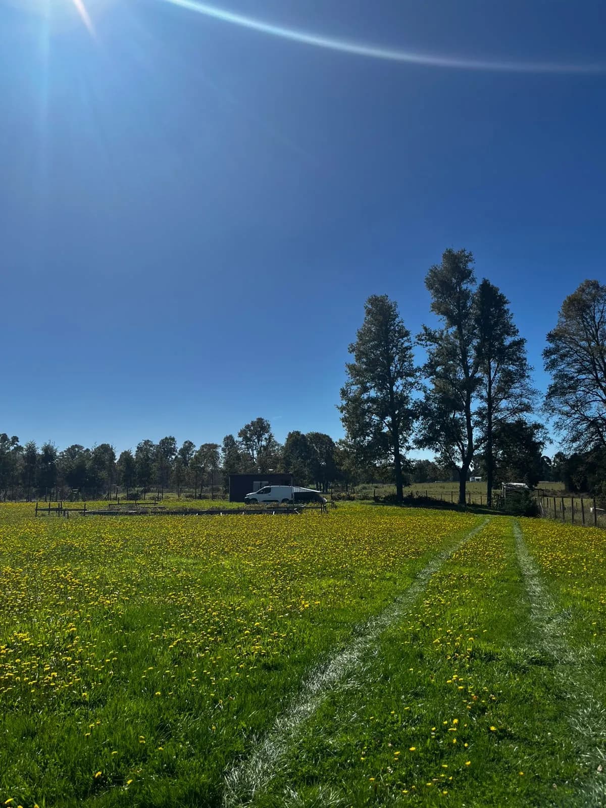 Parcela con cabaña en Frutillar — fotografía 12 de 12