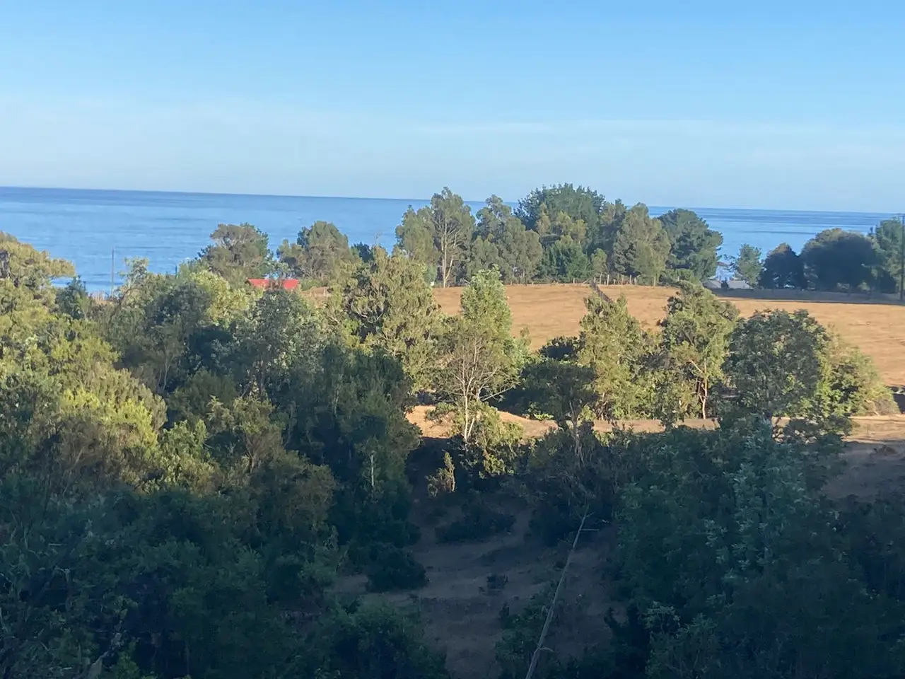 Parcela con vista al mar en Huape — fotografía 3 de 10
