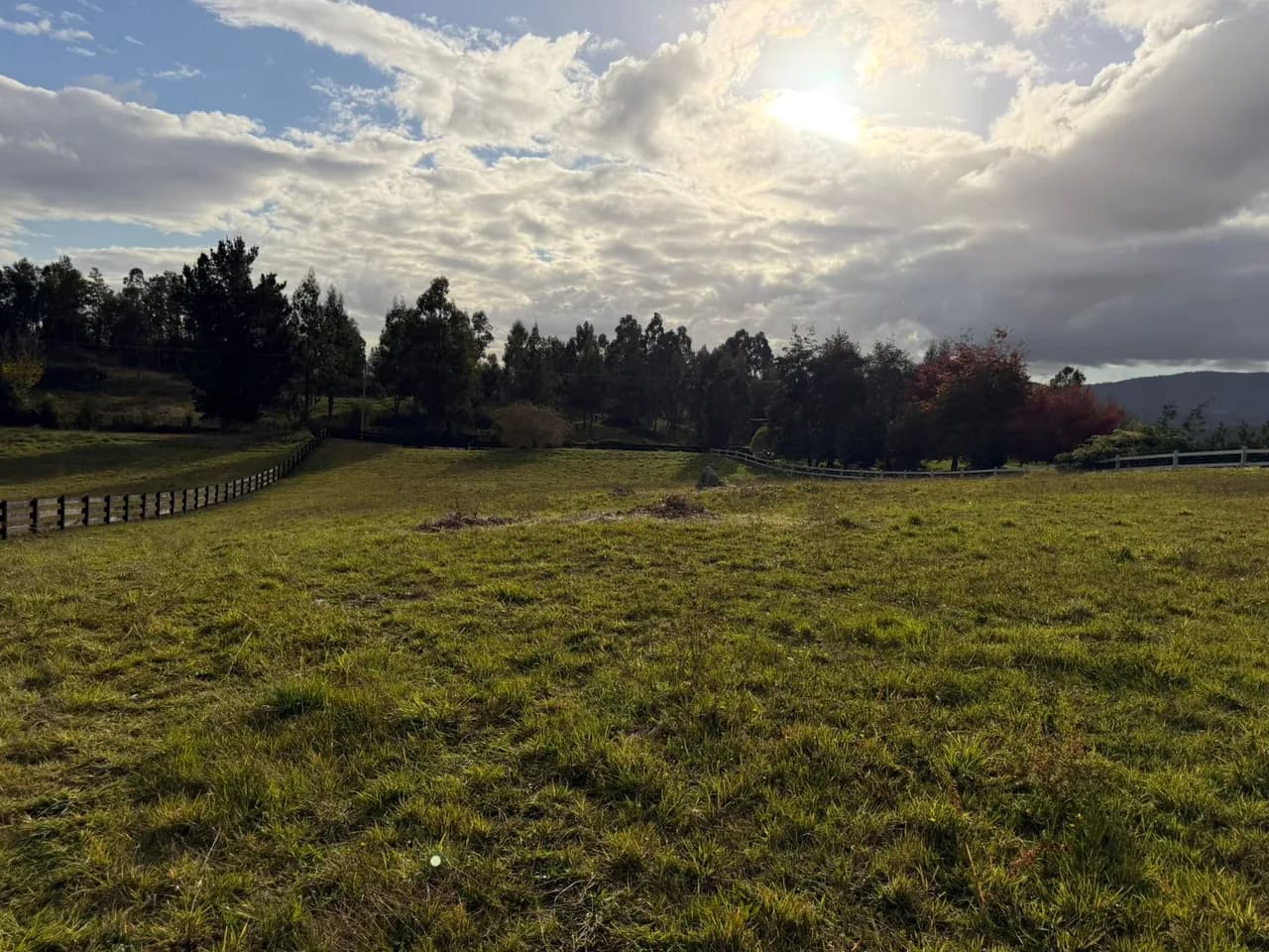 Parcela en Condominio Altos del Ranco — fotografía 10 de 20