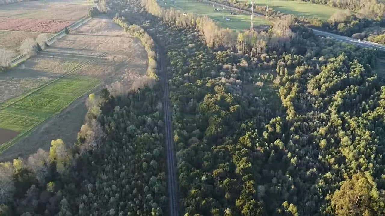 Parcela de 1,5 hectáreas en Máfil — fotografía principal