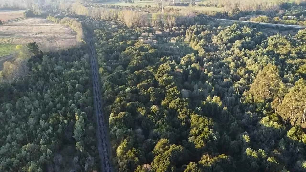 Parcela de 1,5 hectáreas en Máfil — fotografía 2 de 7