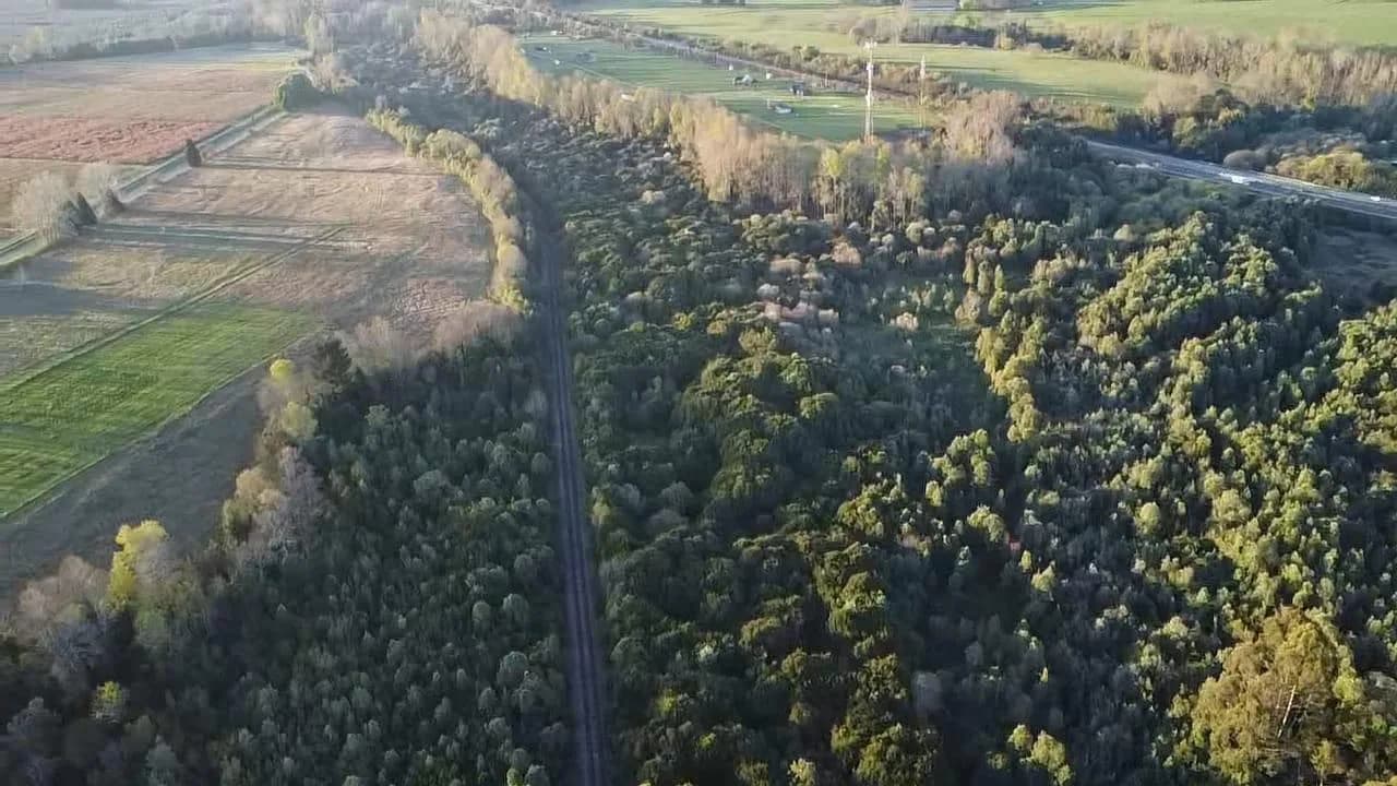Parcela de 1,5 hectáreas en Máfil — fotografía 3 de 7