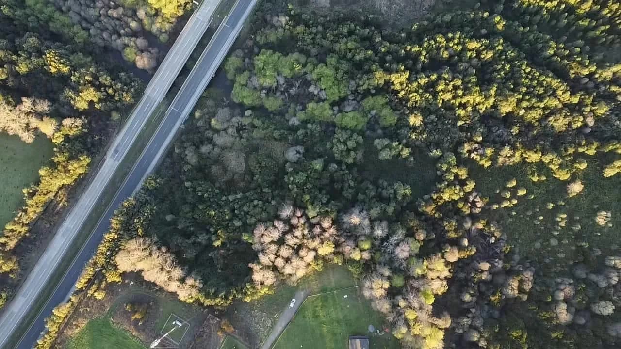Parcela de 1,5 hectáreas en Máfil — fotografía 5 de 7