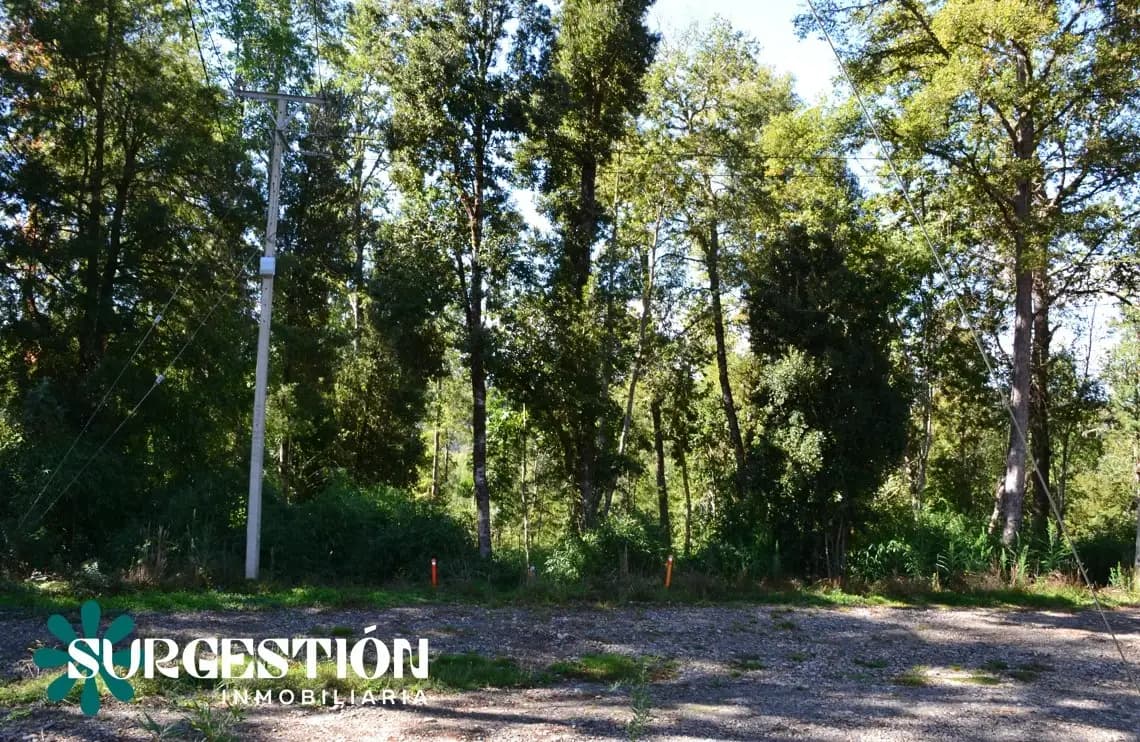 Parcela en Proyecto Alto Río — fotografía 8 de 9