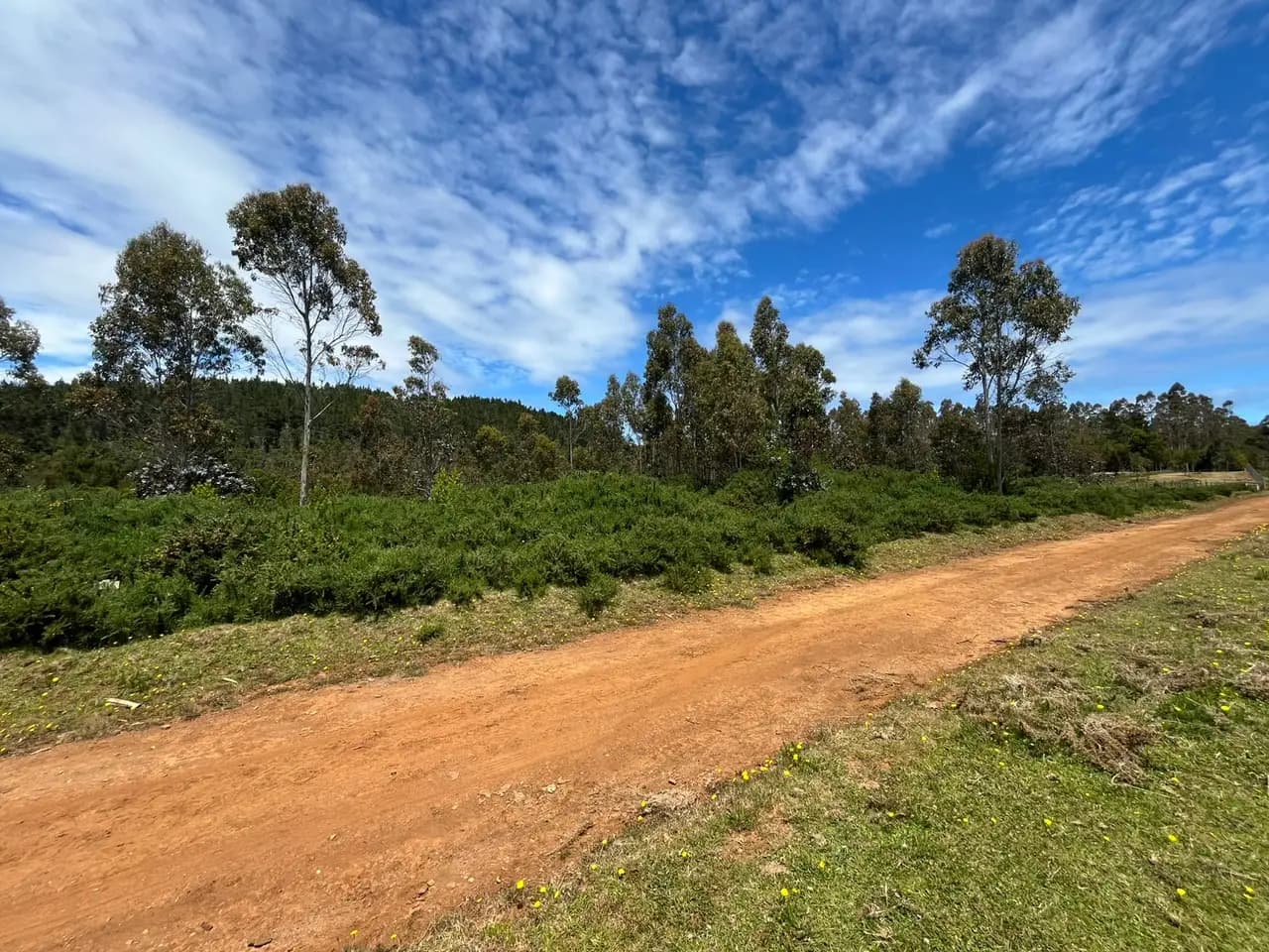 Parcela en venta en Corral — fotografía 5 de 10