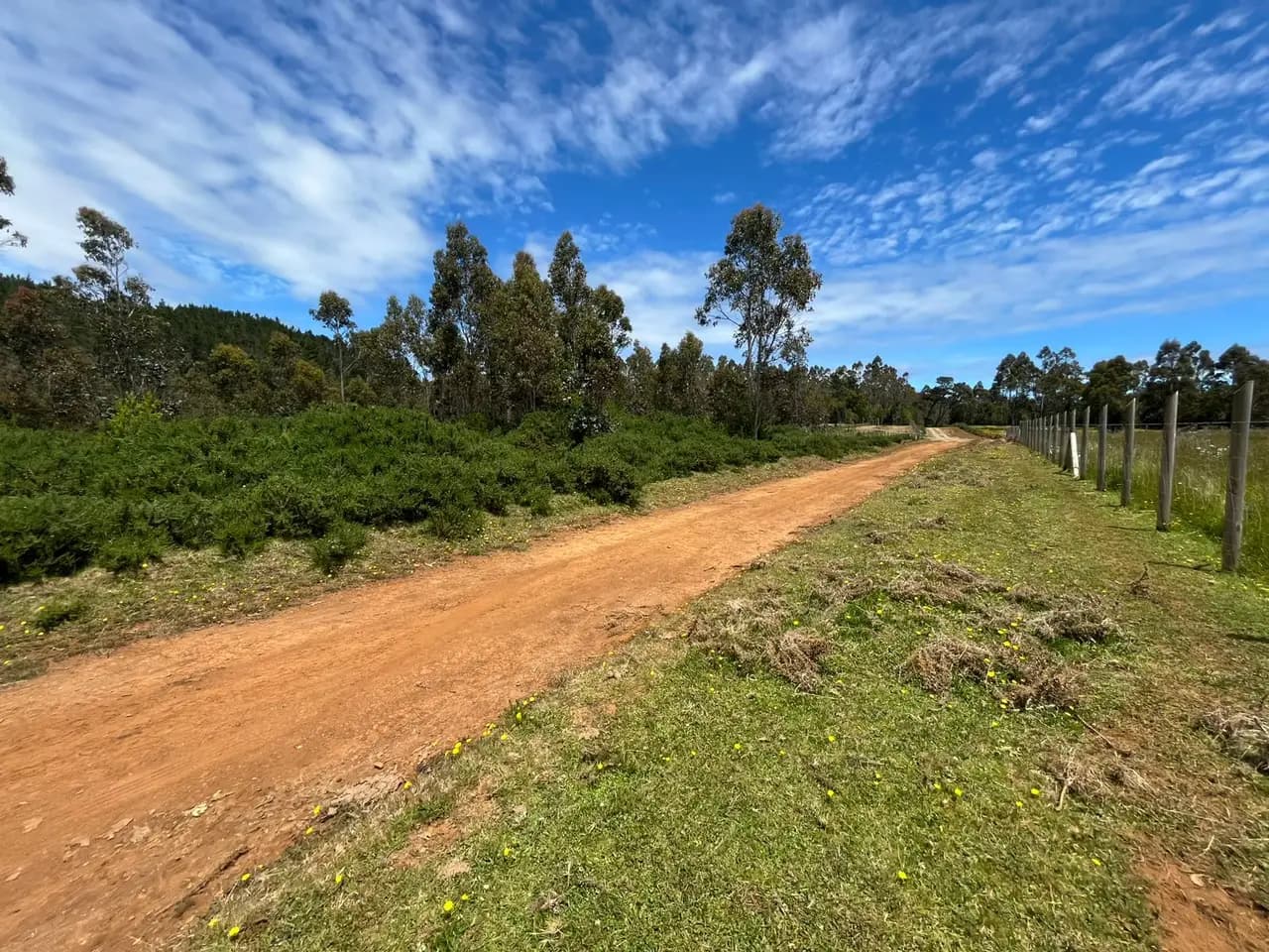 Parcela en venta en Corral — fotografía 6 de 10