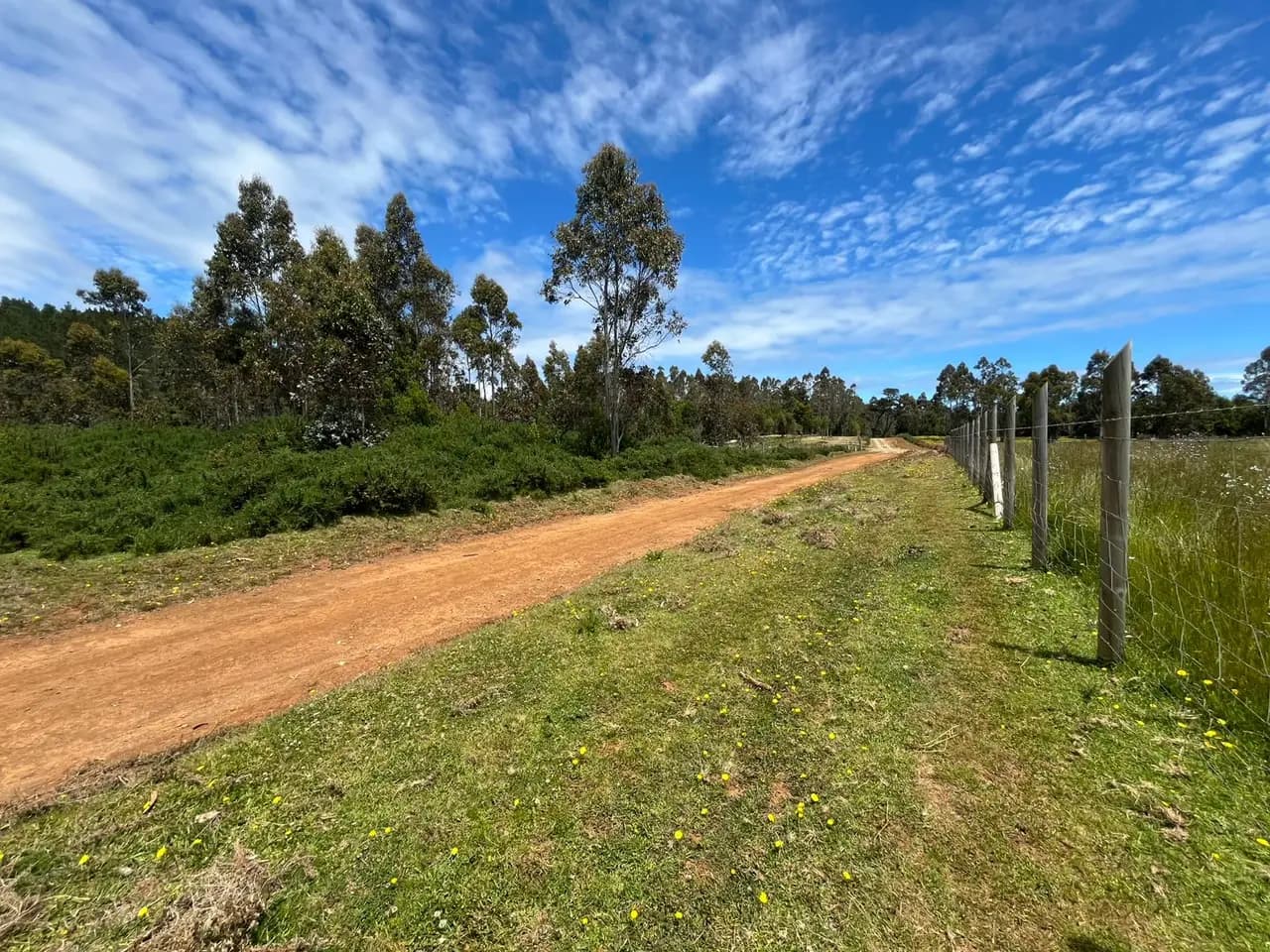 Parcela en venta en Corral — fotografía 8 de 10