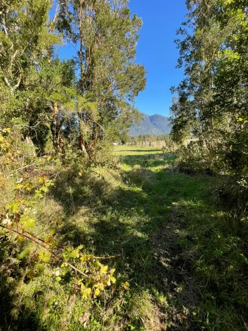Proyecto de parcelas en Riñinahue — fotografía 4 de 10