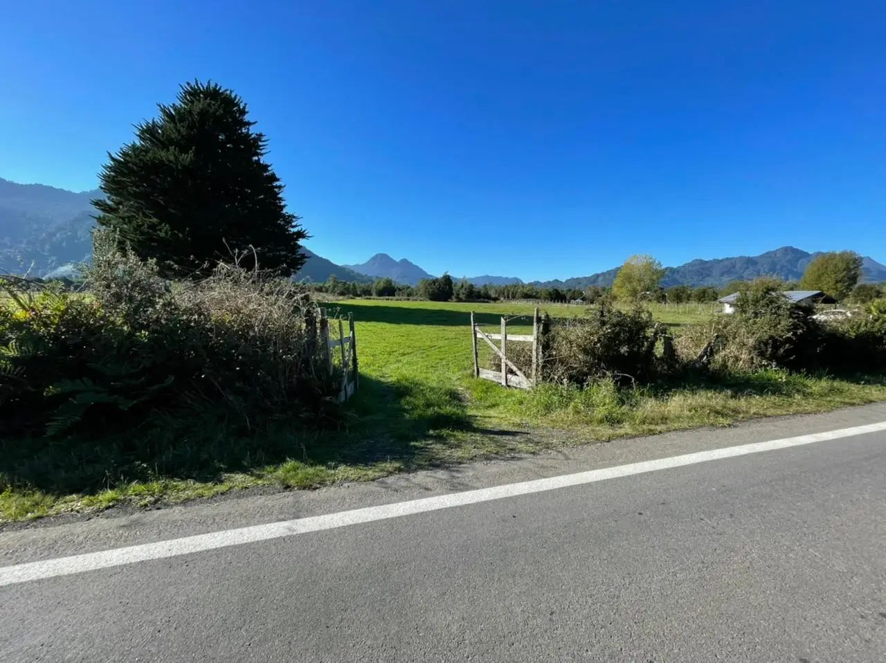 Proyecto de parcelas en Riñinahue — fotografía 6 de 10