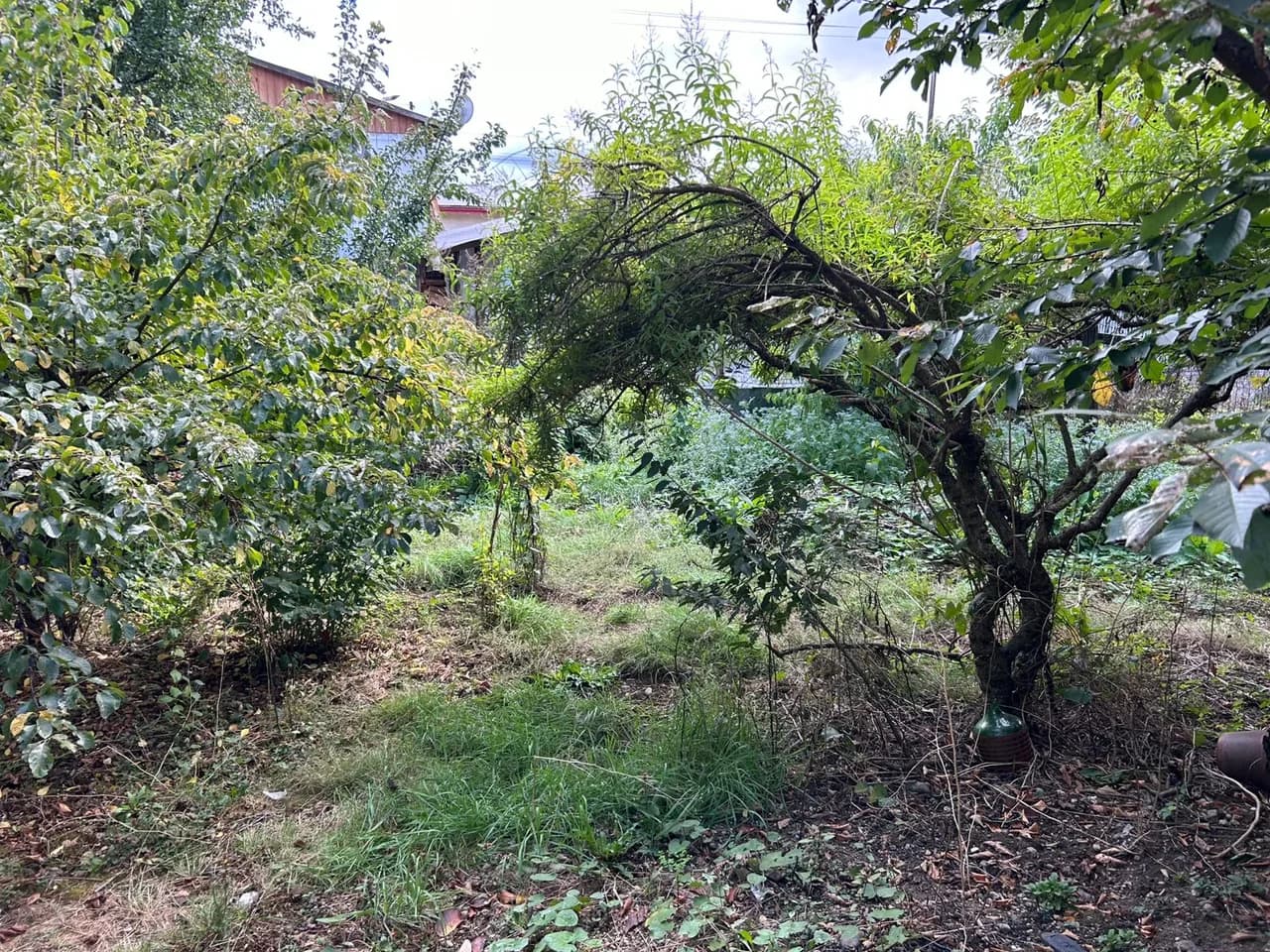 Terreno de 525 m² con vivienda en Los Lagos — fotografía 3 de 10