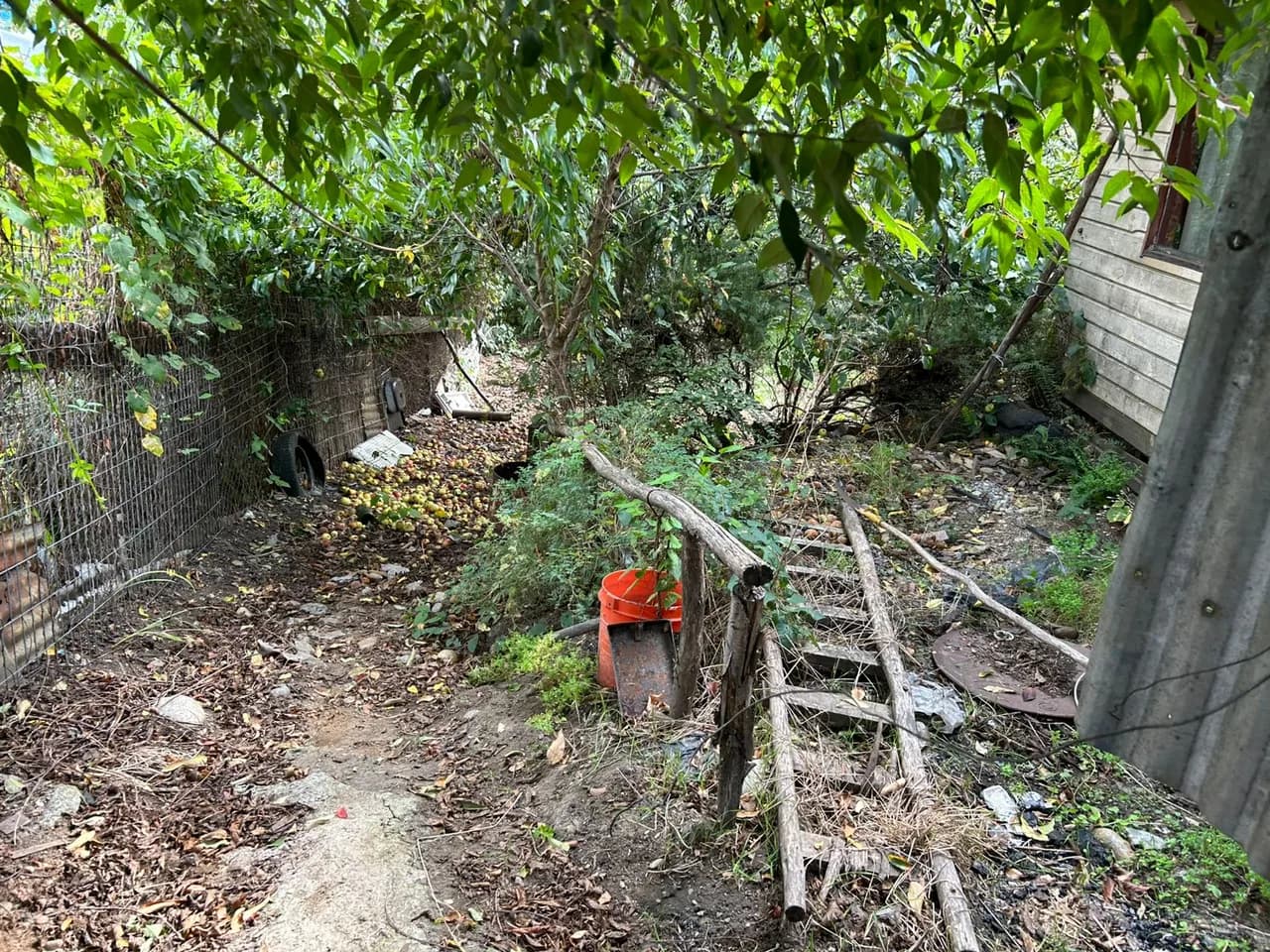 Terreno de 525 m² con vivienda en Los Lagos — fotografía 4 de 10