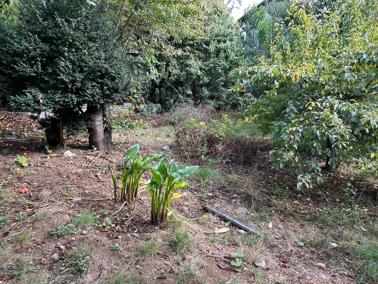 Terreno de 525 m² con vivienda en Los Lagos — fotografía 6 de 10