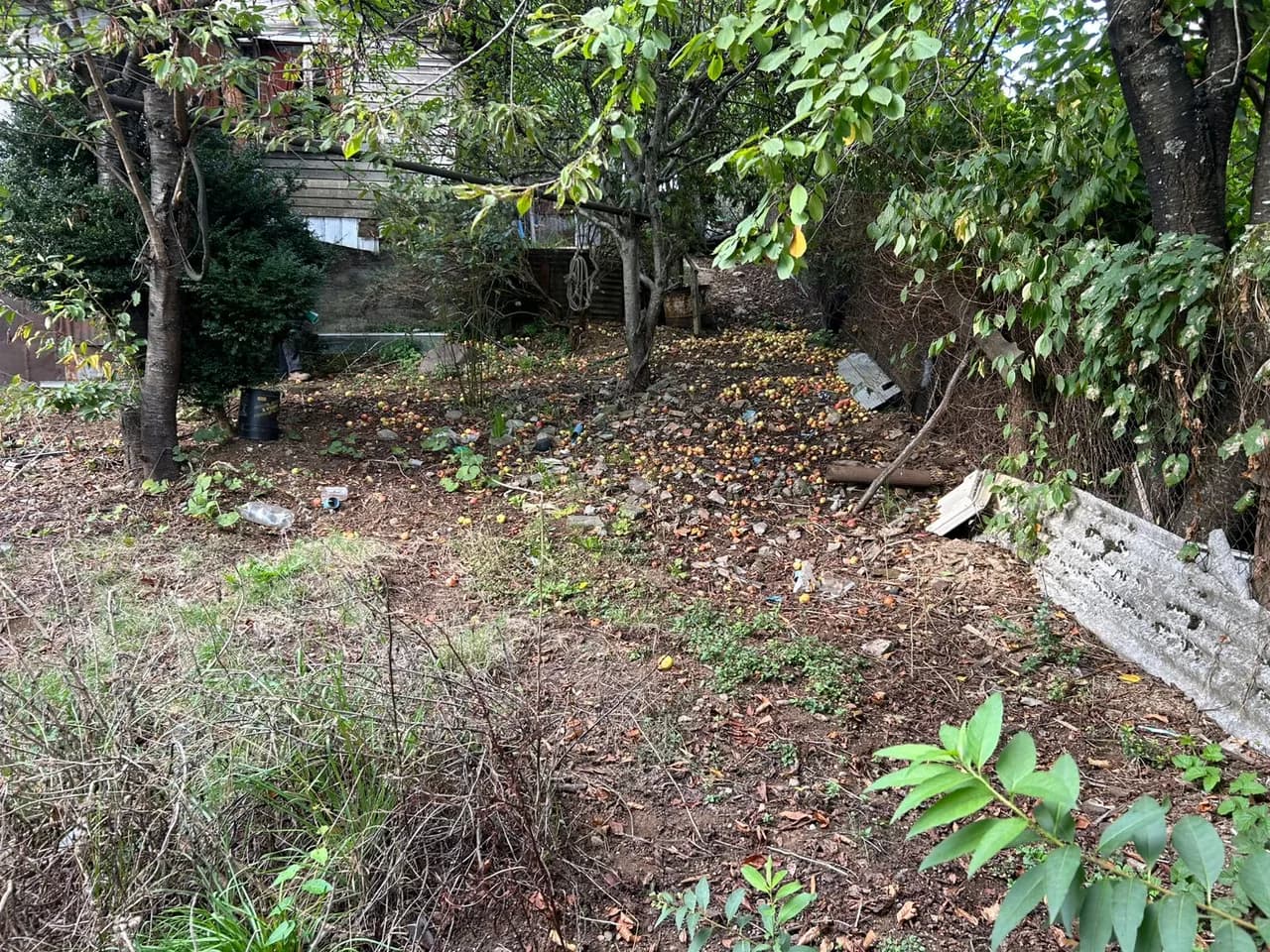 Terreno de 525 m² con vivienda en Los Lagos — fotografía 9 de 10
