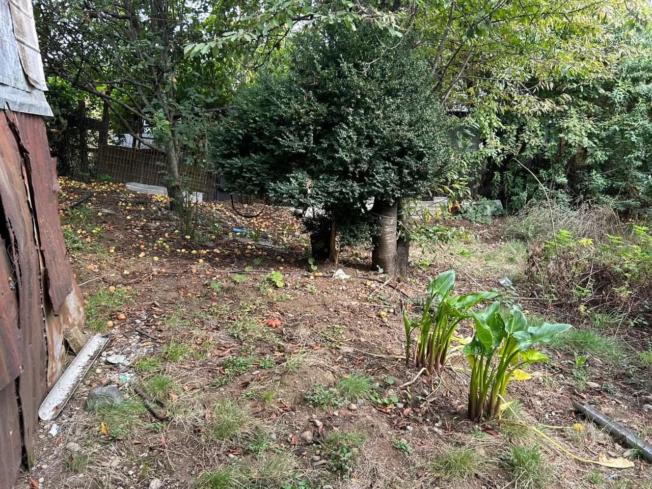 Terreno de 525 m² con vivienda en Los Lagos — fotografía 10 de 10