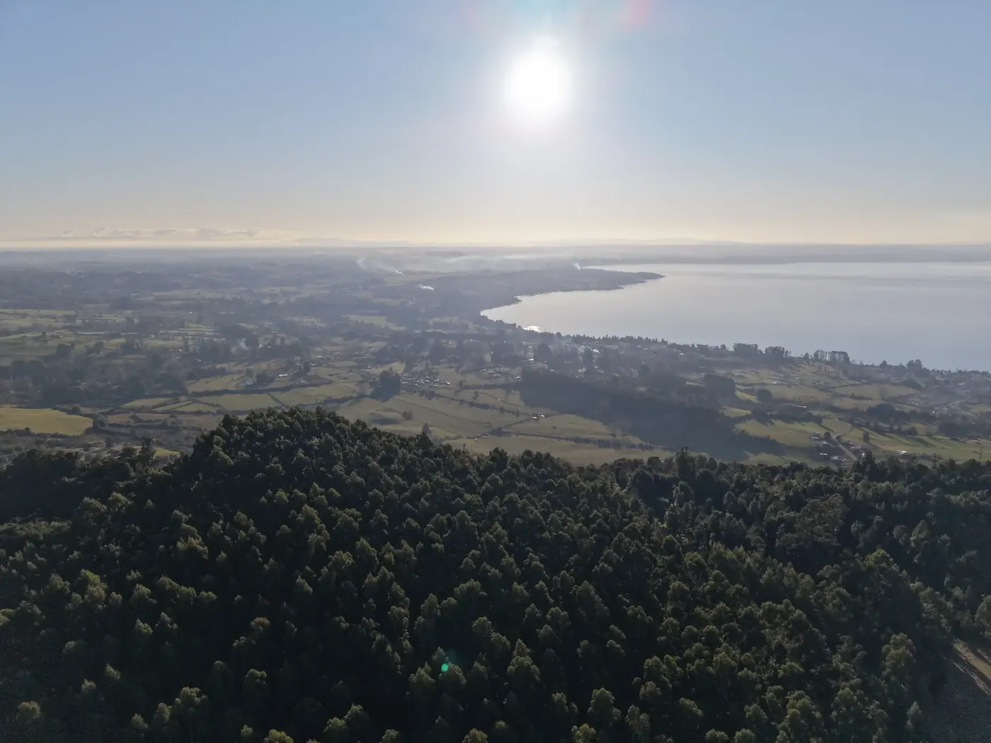Vista aérea del bosque del predio con el lago Ranco a contraluz