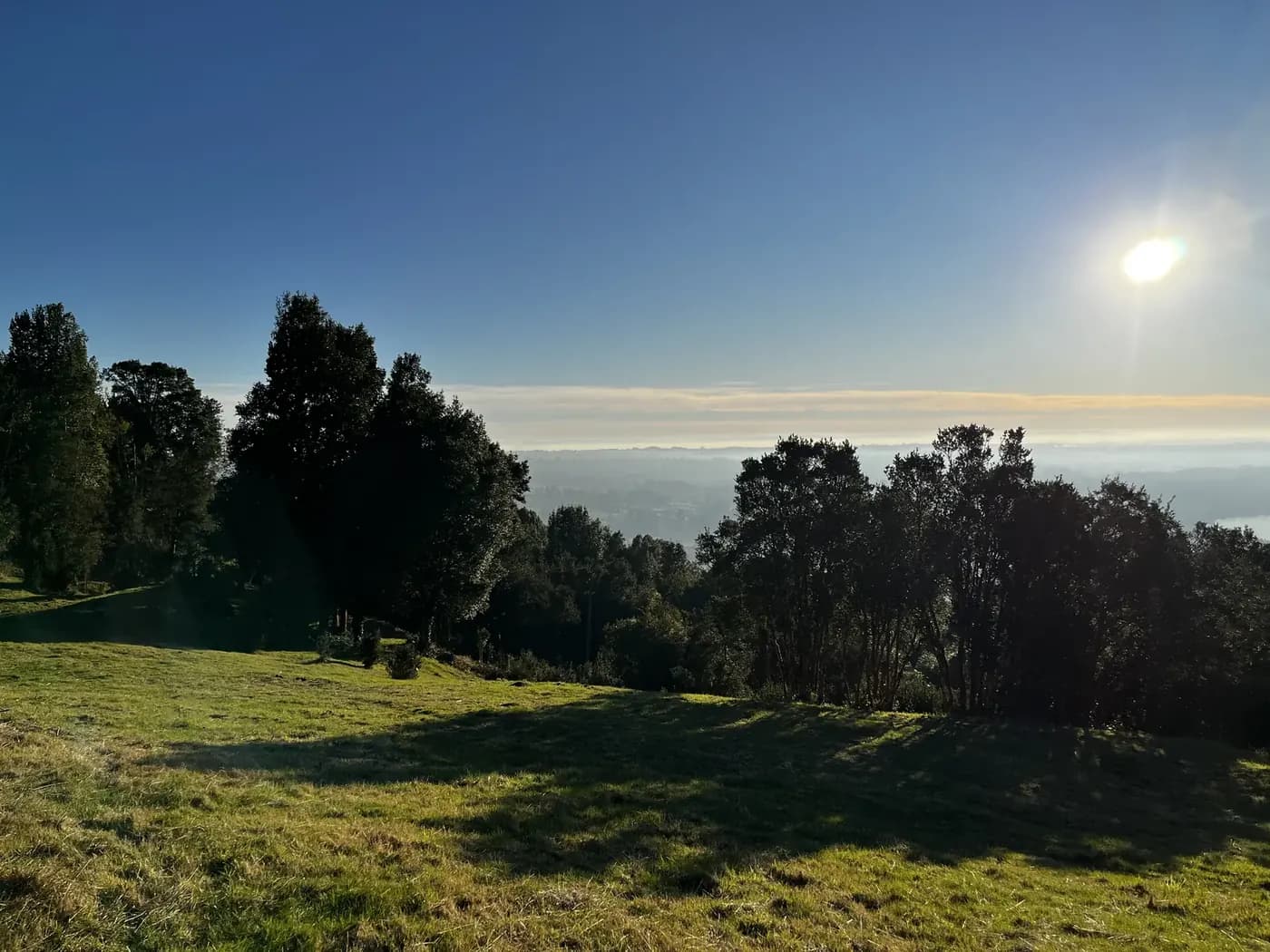 Pradera y árboles del predio, con el lago Ranco entre la bruma
