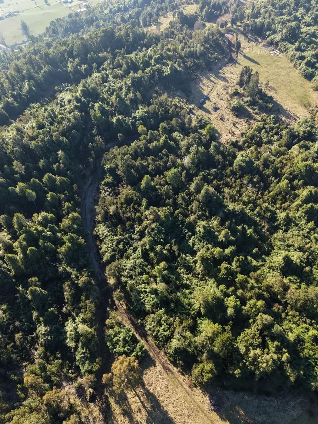 Vista aérea cenital de los caminos interiores del loteo entre el bosque