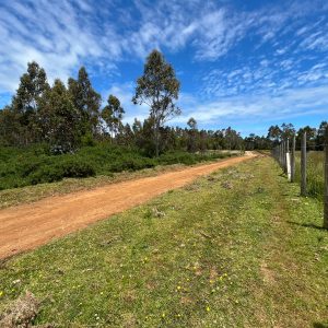 Parcela en venta en Corral