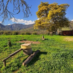 Propiedad agrícola en venta en Alhué Región Metropolitana