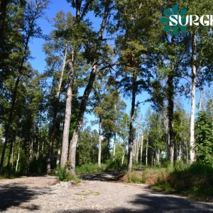 Parcela en Proyecto Alto Río – Naturaleza y conectividad a minutos de Valdivia